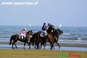 sport-equitazione-cavalli-in-spiaggia-a-lignano